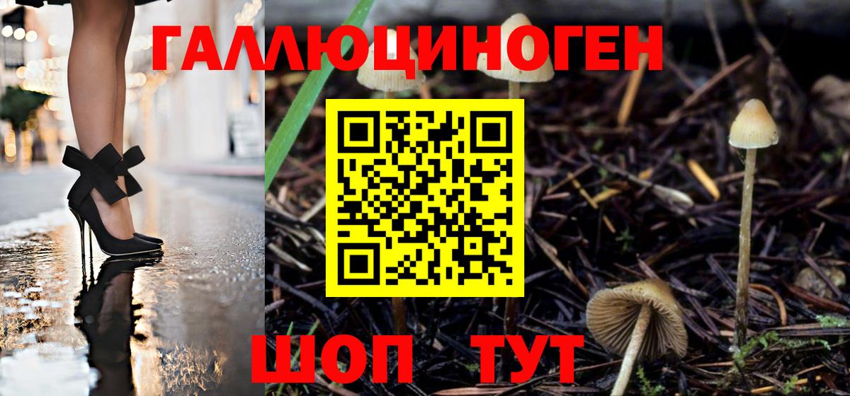 Псилоцибиновые грибы Psilocybine cubensis  Вход с VPN  Галлюциногенные грибы Psilocybine cubensis  Кирово-Чепецк 